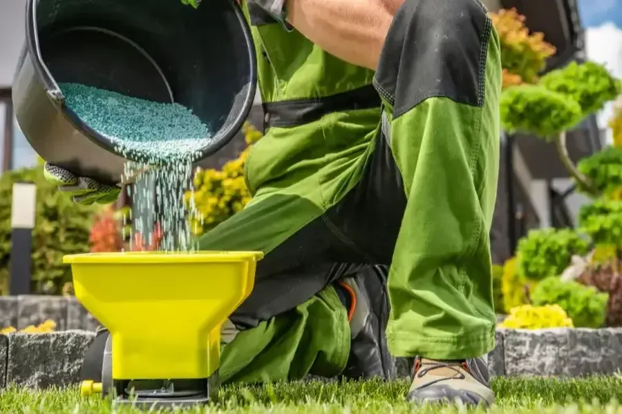 How Landscaping Choices Can Protect Stucco Surfaces Riverbank, CA