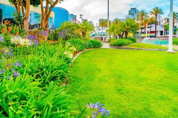 Preventing Stucco Damage Through Smart Landscape Design Riverbank, CA